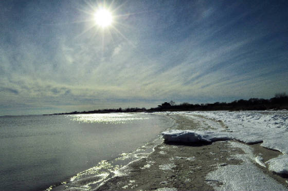 image5.jpg